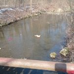 phoca_thumb_m_maena 65 Fotogalerie